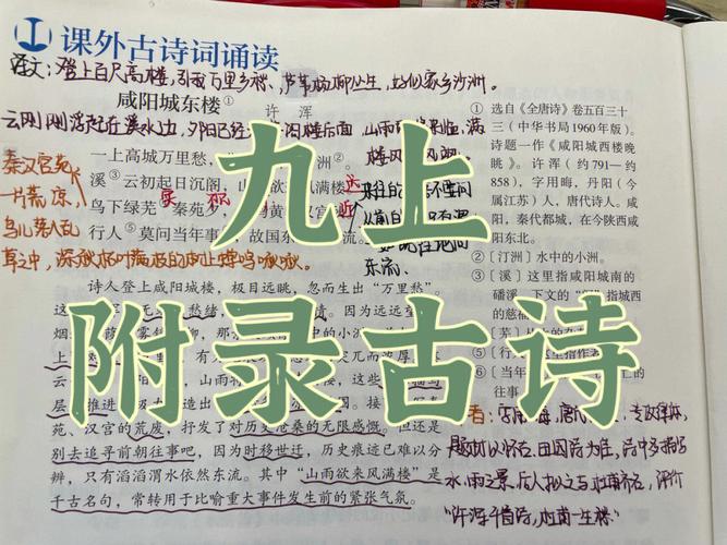 王者荣耀谢霆锋教学教程 - 王者荣耀谢霆锋教学教程下载-第4张图片-于都网 王者荣耀谢霆锋教学教程 - 王者荣耀谢霆锋教学教程下载-第4张图片-于都网