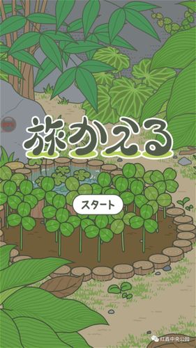 王者荣耀青蛙旅行攻略的简单介绍