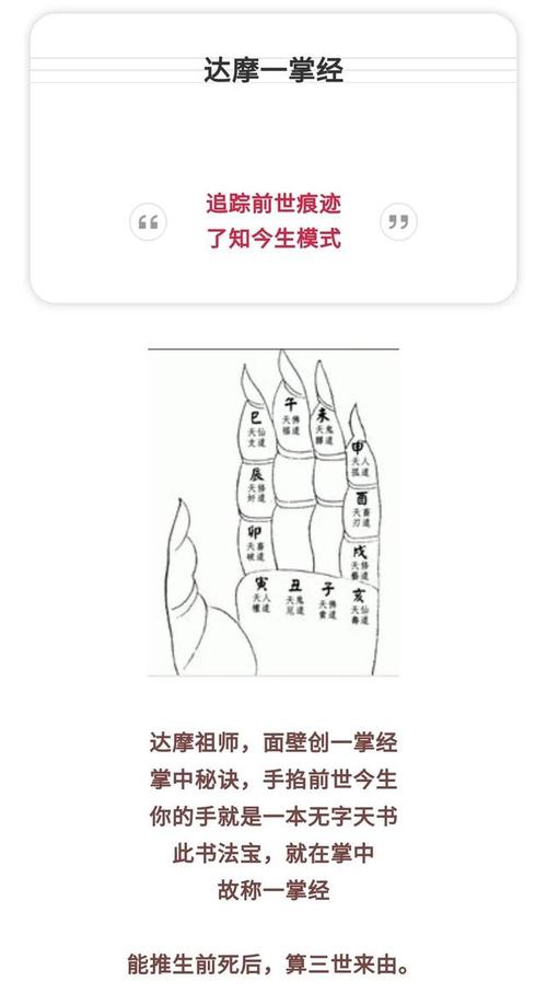 王者荣耀重拳攻略视频(重拳出击是哪个英雄)-第6张图片-于都网 王者荣耀重拳攻略视频(重拳出击是哪个英雄)-第6张图片-于都网