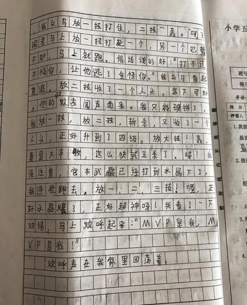 王者荣耀作文大全，王者荣耀,作文