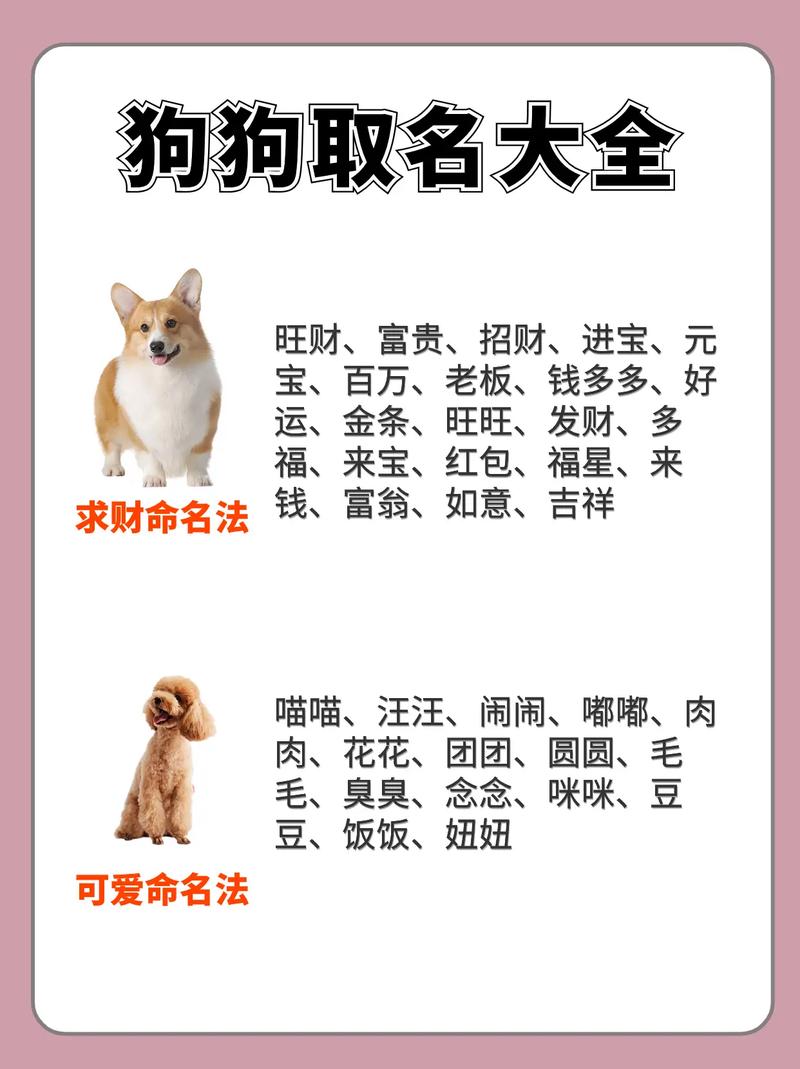 王者荣耀佳佳图片大全 - 王者荣耀王佳-第3张图片-于都网