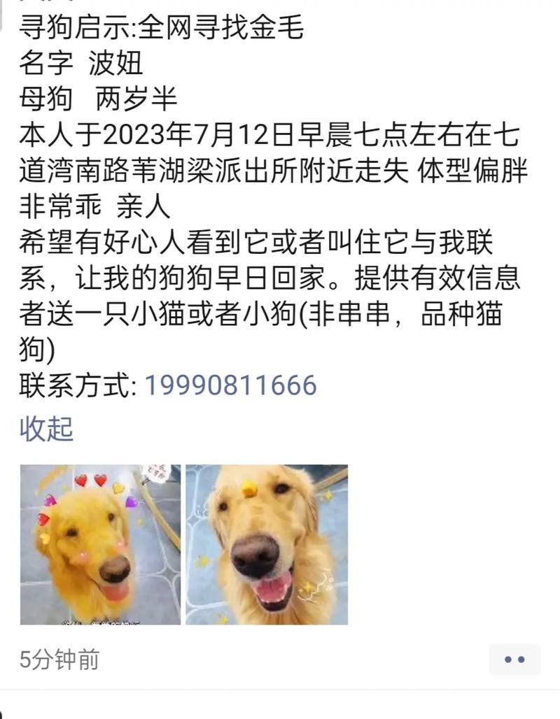 王者荣耀佳佳图片大全 - 王者荣耀王佳-第5张图片-于都网