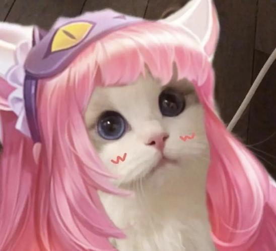 猫队长王者荣耀视频教学,猫猫队长动画片-第5张图片-于都网 猫队长王者荣耀视频教学,猫猫队长动画片-第5张图片-于都网