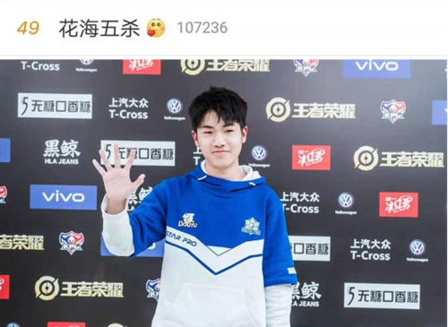 王者荣耀花海特长攻略（王者荣耀里有花海的模式是什么）