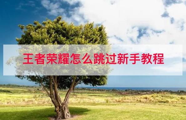 王者荣耀无等级教学视频(王者没有12级怎么设置)-第8张图片-于都网 王者荣耀无等级教学视频(王者没有12级怎么设置)-第8张图片-于都网