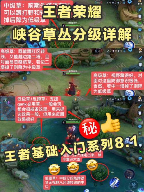 王者荣耀蹲着的视频教学（王者荣耀蹲视野什么意思）